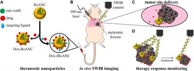 Shortwave Infrared-Emitting Theranostics for Breast Cancer Therapy Response Monitoring